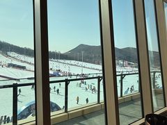 -东北亚滑雪场
