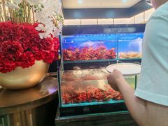 -苏格里岛自助烤肉海鲜火锅(成都金牛万达店)