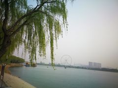 -济南国际园博园