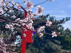 -永定河休闲森林公园