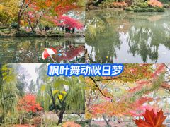 -秋霞圃