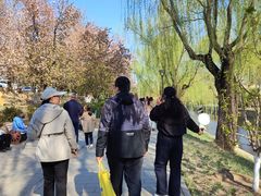 -元大都城垣遗址公园