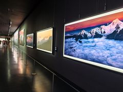 -罗红摄影艺术馆