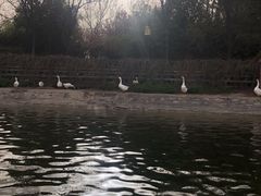 -西安汉城湖景区