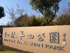 -羊山湖公园