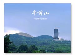 -牛首山文化旅游区
