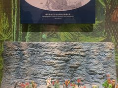 -辽宁古生物博物馆
