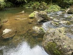 -龙苍沟森林公园