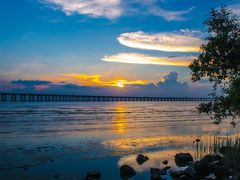 -宝安西湾红树林湿地公园