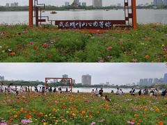 -顺峰山公园