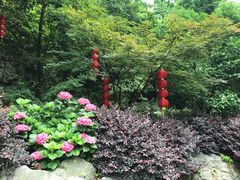 -杭州西湖风景名胜区-三生石