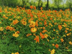 -北京鹿世界主题园