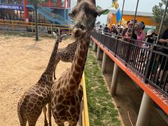 -西霞口神雕山野生动物世界