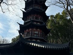 -上海佘山国家森林公园西佘山园