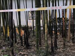 -荆川公园