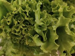 -千纸鹤嫩汁烤肉(学府店)