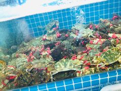 -老东镇啤酒屋海鲜加工·蒸汽海鲜·海鲜烧烤(台东店)