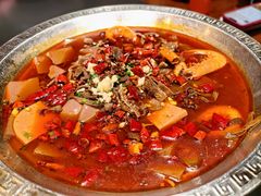 -阿露佳·安吉菜