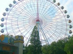 -青城公园