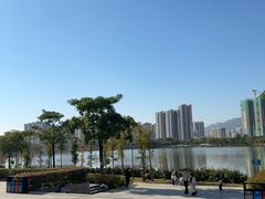 -飞来湖湿地公园