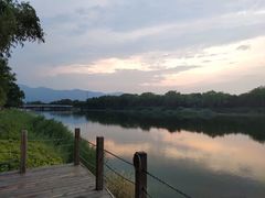 -东方苑自助餐厅(稻香湖景酒店)