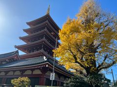 -浅草寺