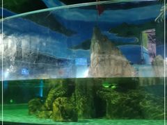 -常州海昌海洋探索馆