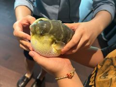 -肆月河豚·淮扬菜·湘菜(华天店)