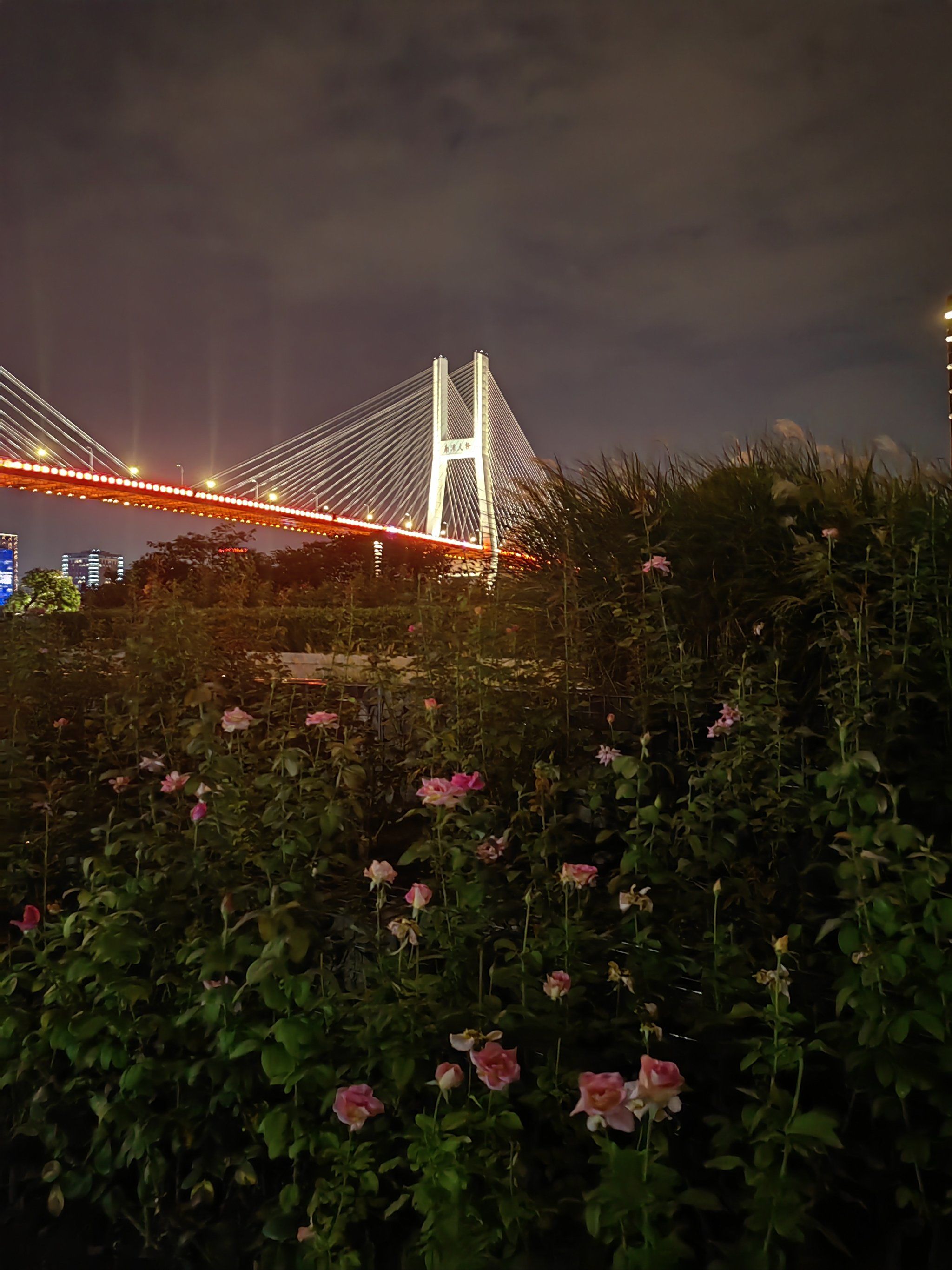 滨江步道夜间散步好去处
#总得看一次黄浦江夜景 #黄浦滨江