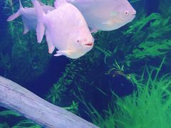-常州海昌海洋探索馆