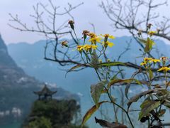 -三峡人家风景区