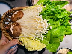 -同仁四季椰子鸡(宝安壹方城店)