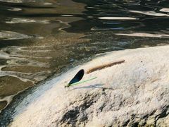 -碓臼峪自然风景区