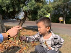 -艾溪湖湿地公园