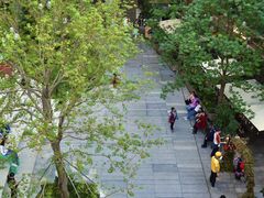 -深圳湾万象城(南山店)