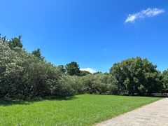 -上海共青森林公园