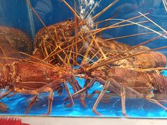 -北塘海鲜·天津菜(大光明桥旗舰店)