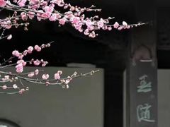 -西安青龙寺遗址景区