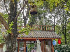 -成都市活水公园