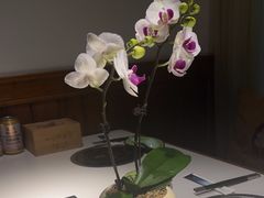 -一叶一世界•素食餐厅(环球中心店)