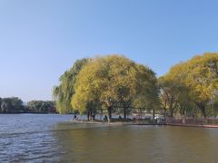 -石家庄市植物园