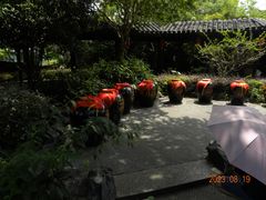 -巡塘古镇