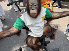 -杭州野生动物世界