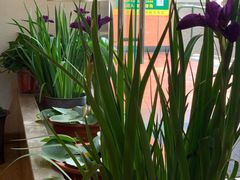 -合一茶坊(体育教育公寓B座店)