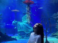 -沈阳海洋探索中心