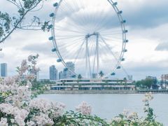 -夏苑(新加坡丽思卡尔顿美年酒店)