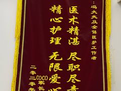 -中农国际动物医院24小时·猫科·骨科·急重症中心