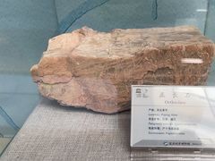 -延庆地质公园博物馆