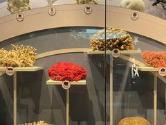 -中国湿地博物馆