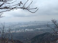 -紫金山山顶公园